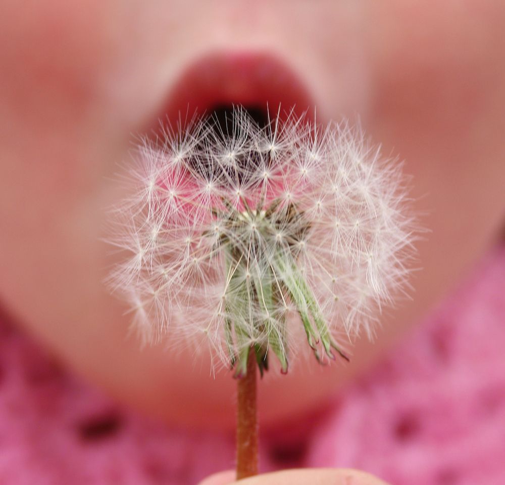 Careful What You Wish For